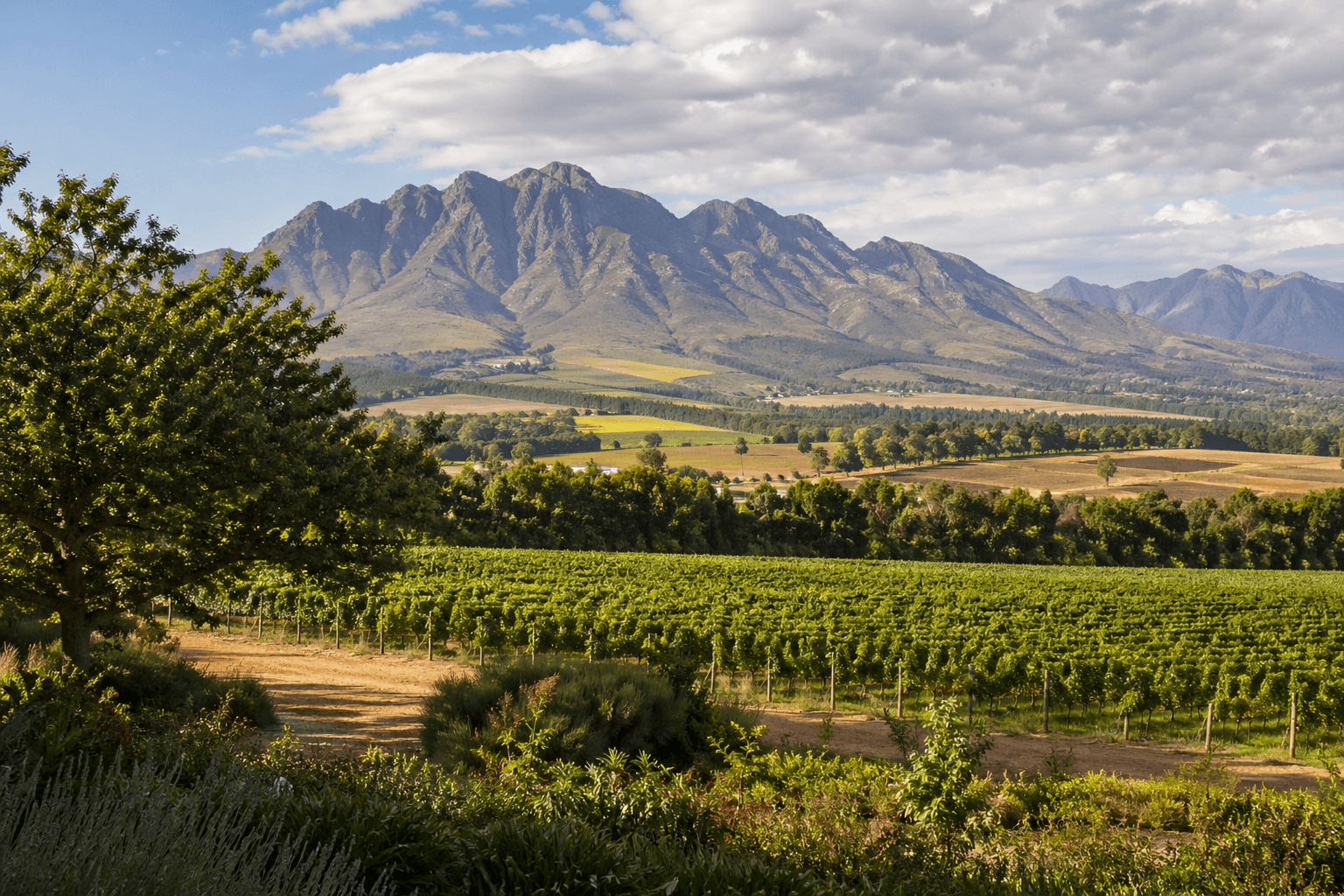 Cap Classique wine estate